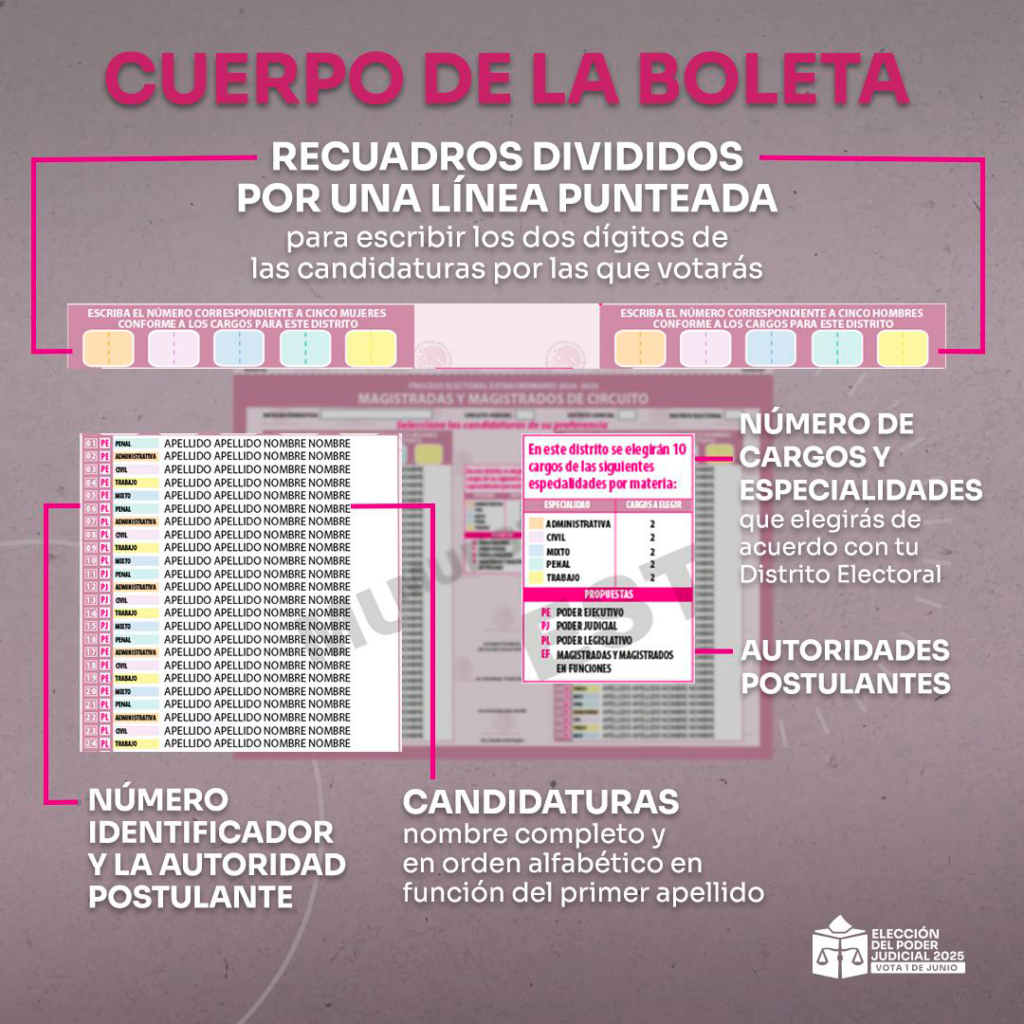 Cuerpo boleta Magistraturas de Circuito